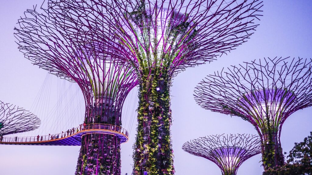 singapore, gardens by the bay, supertrees-2096833.jpg