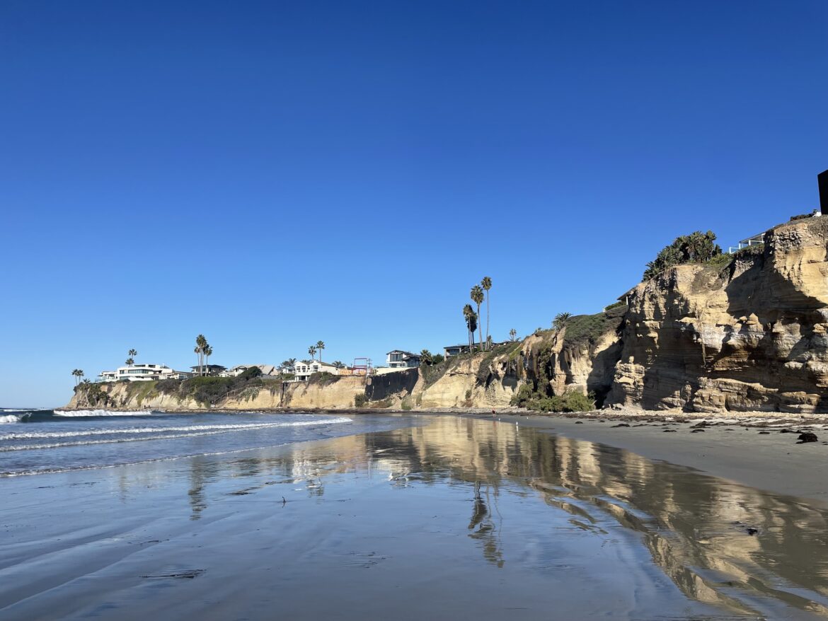 The Ultimate La Jolla Bucket List: 15 Top Things to See, Do, and Eat