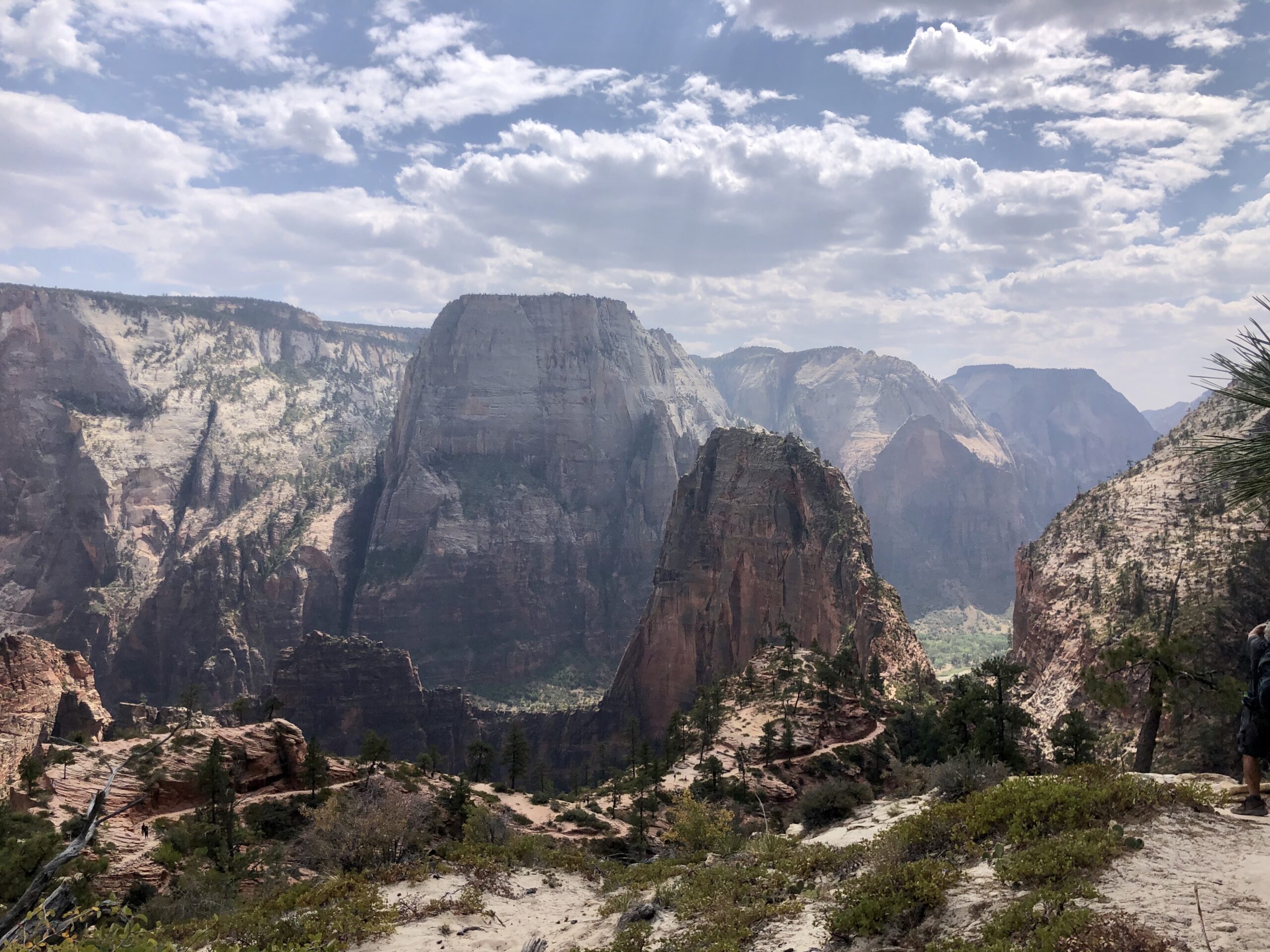 rock formations in Zion National Park