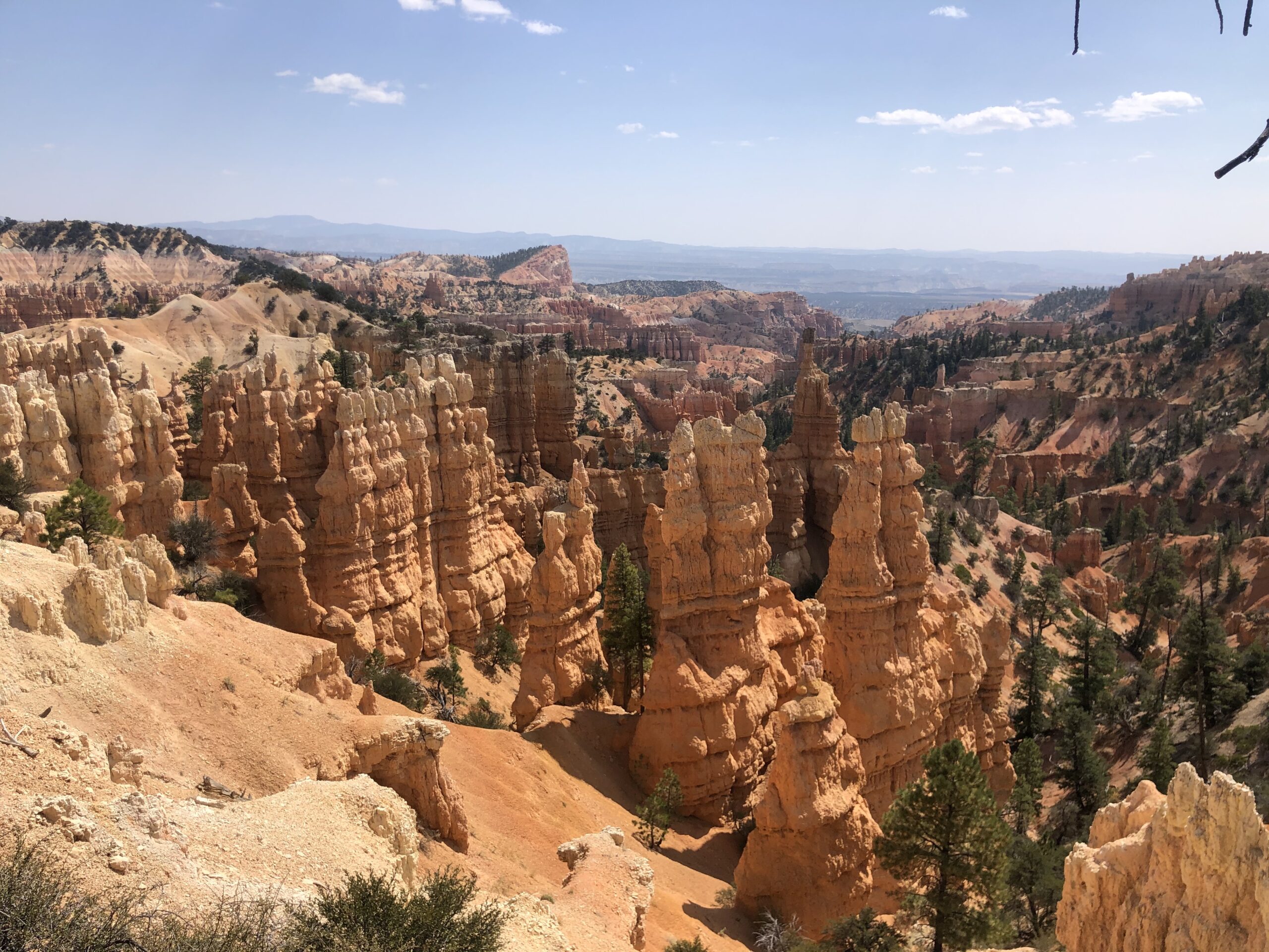 Hoodos in Fairyland Loop Trail in Bryce Canyon National Park.