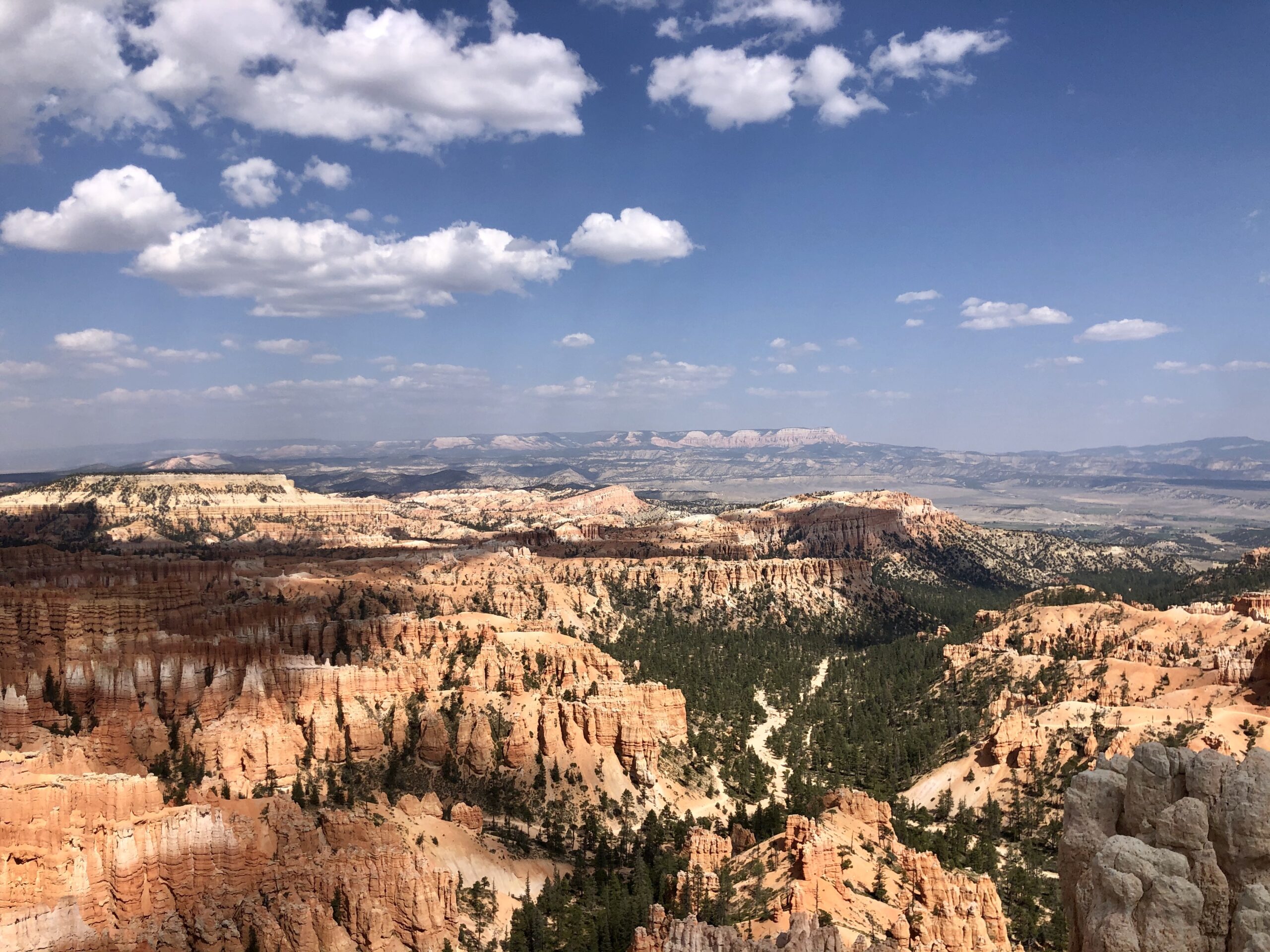 Bryce Point scenic viewpoint in Bryce  Canyon National Park