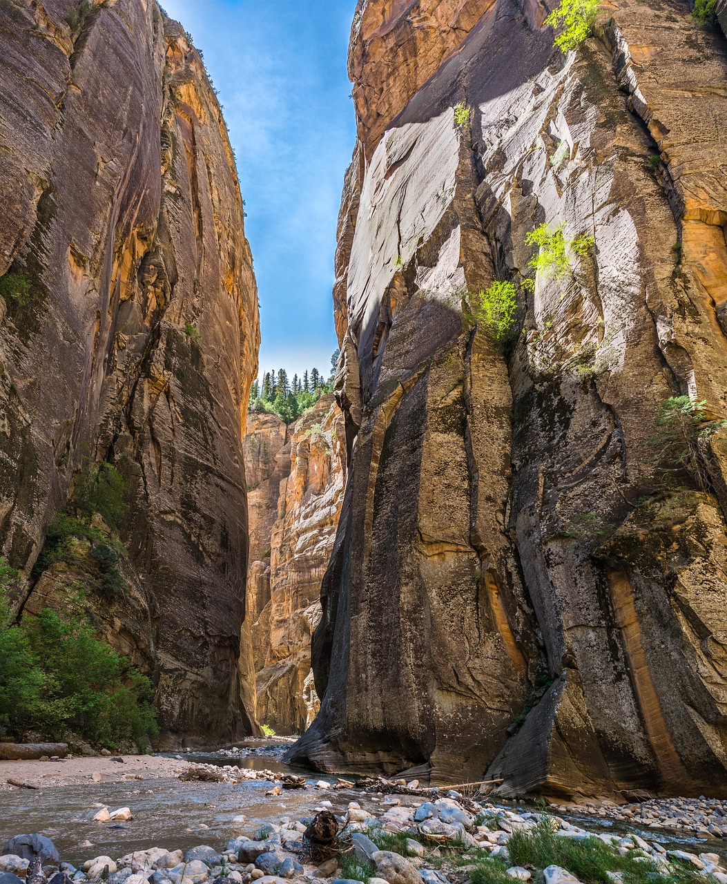 zion, narrows, canyon-2774649.jpg