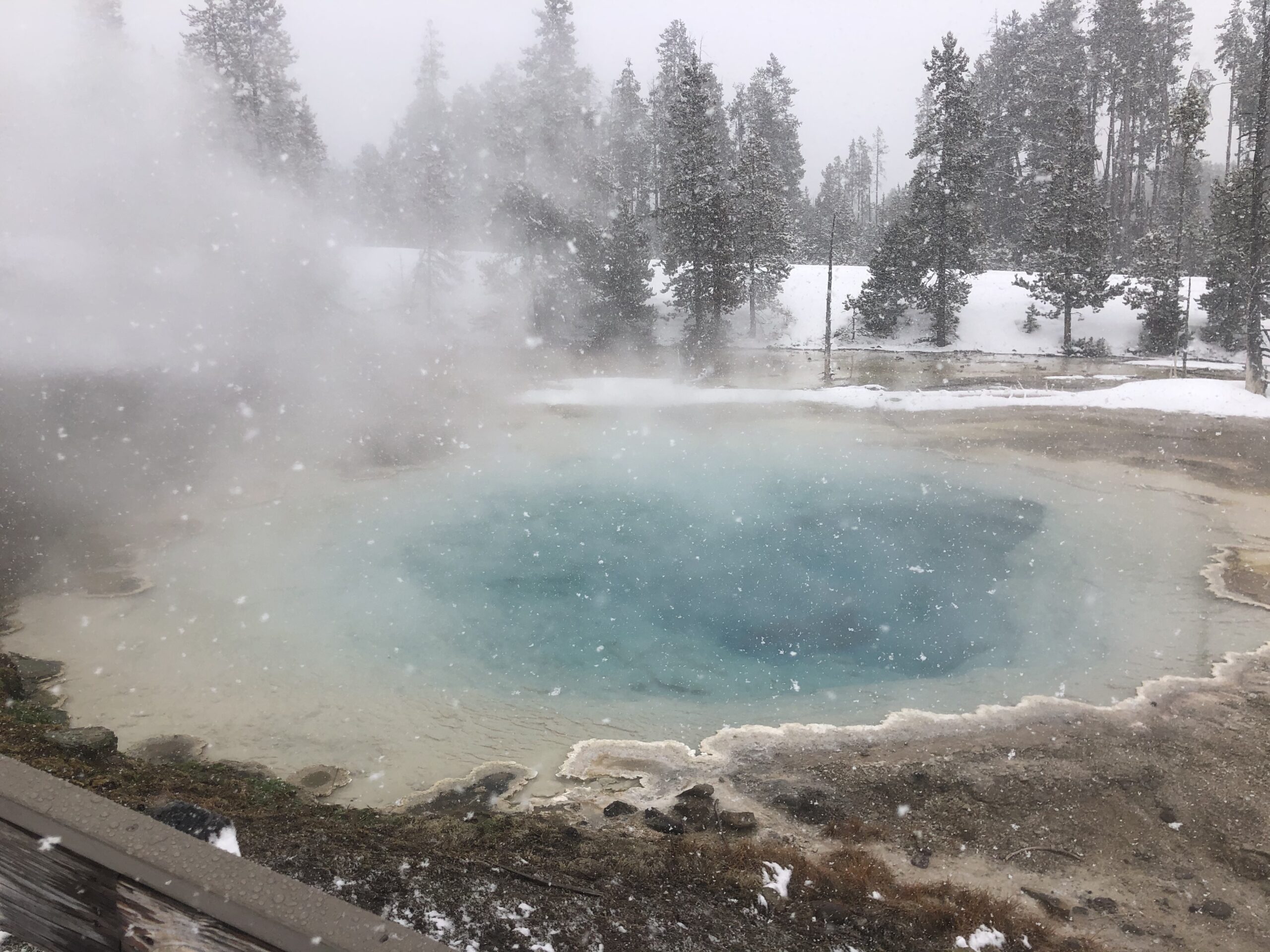 Yellowstone National Park in winter