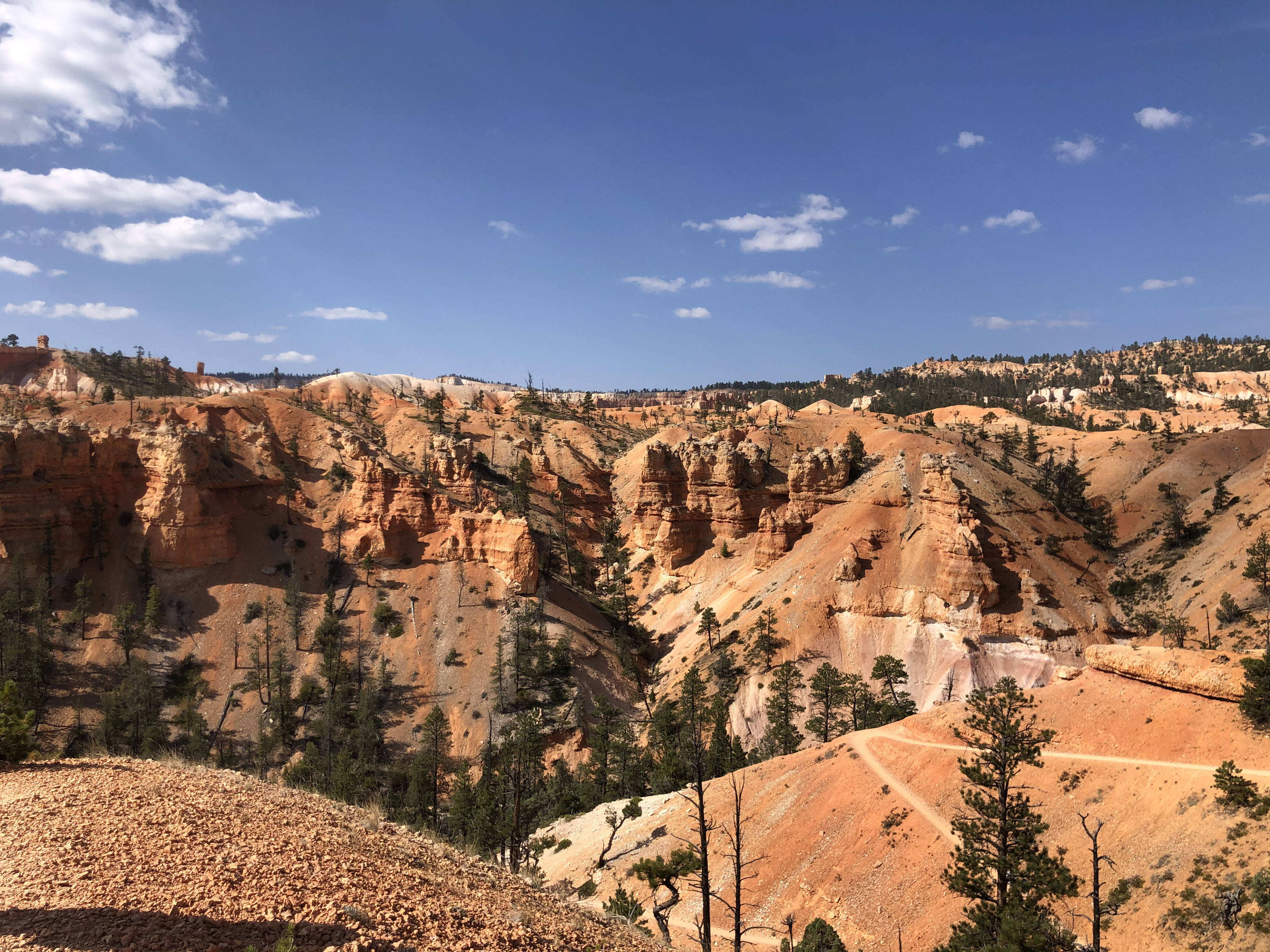 Fairyland Loop Trail in Bryce Canyon National Park.