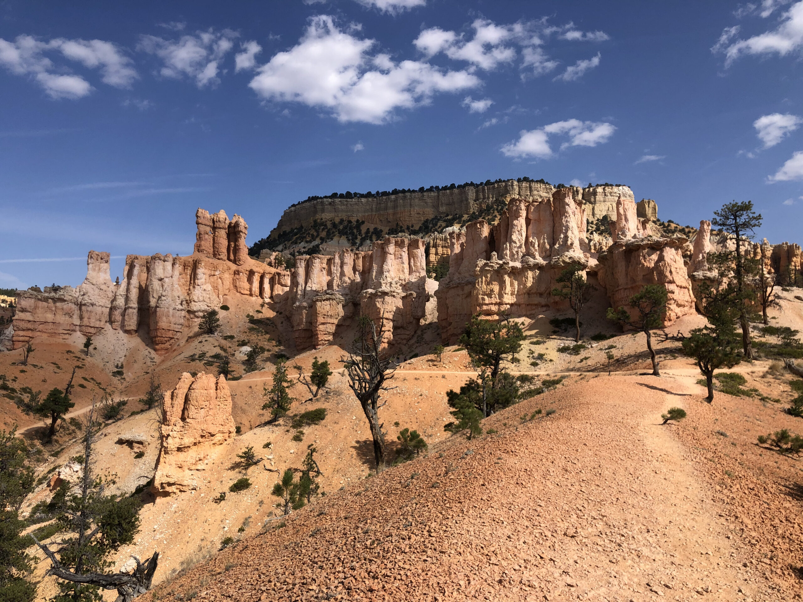 Fairyland Loop Trail in Bryce Canyon National Park.