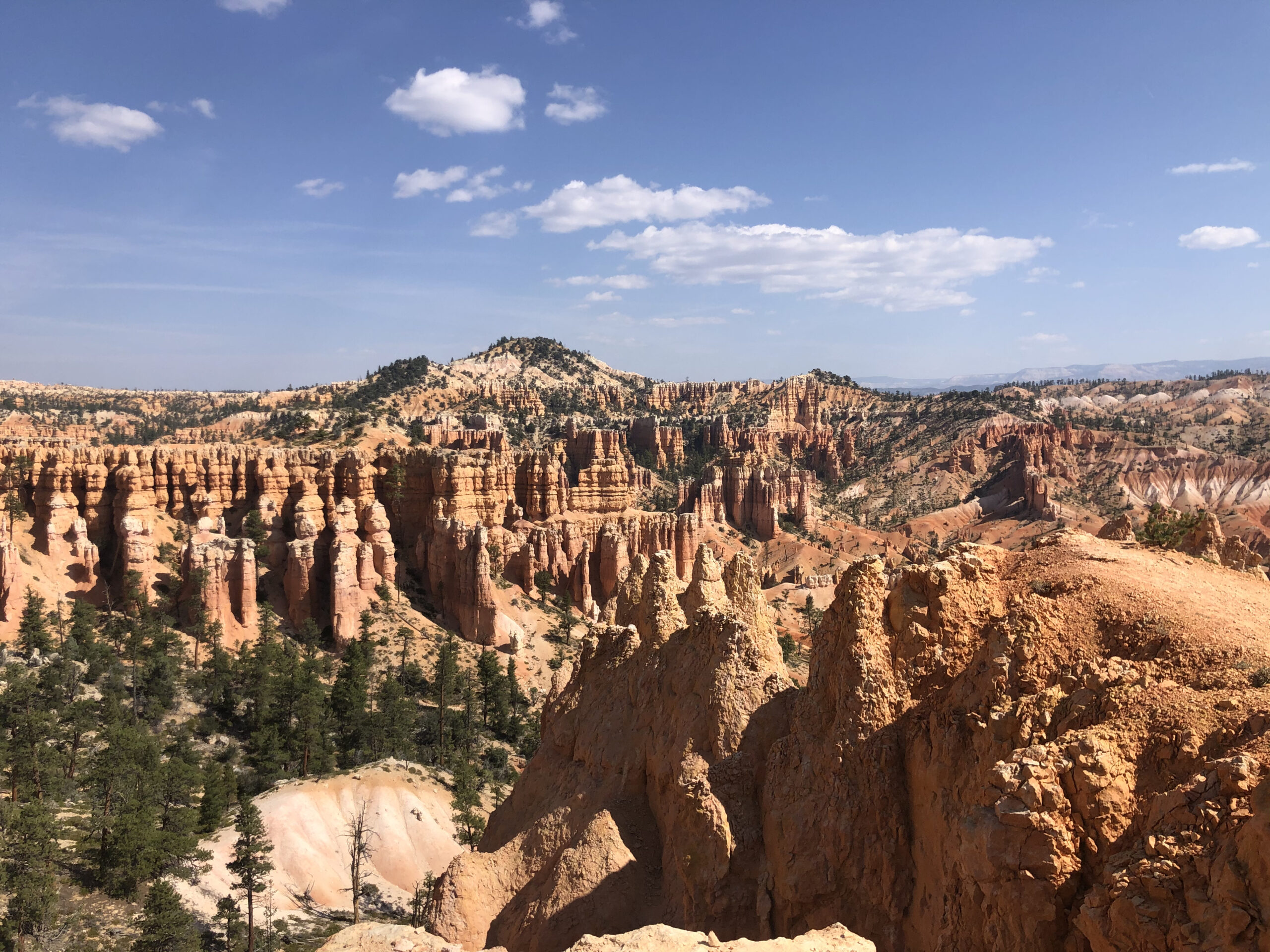 Hoodos in Fairyland Loop Trail in Bryce Canyon National Park.