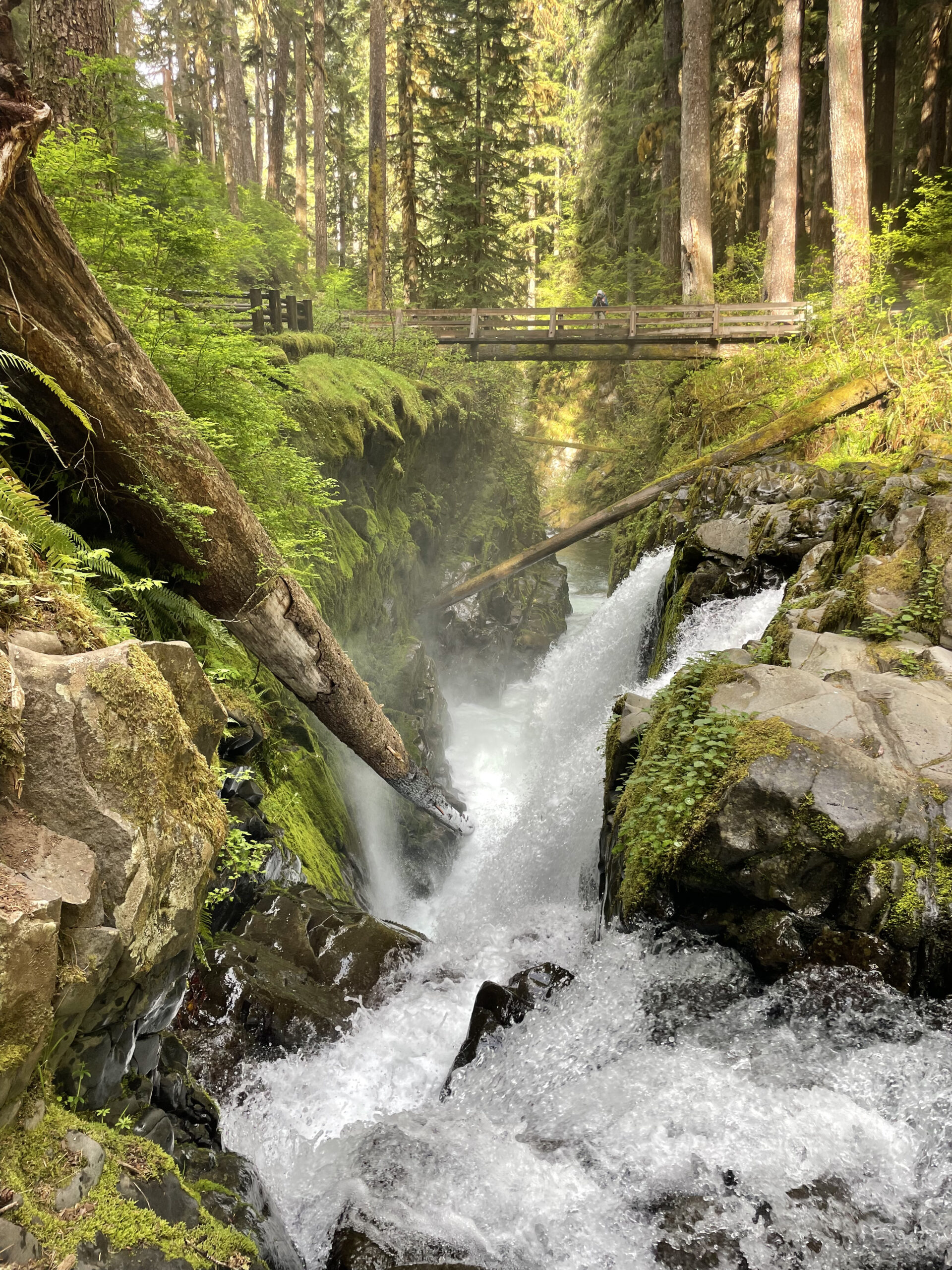 Sol Duc Falls in Olympic National Park.