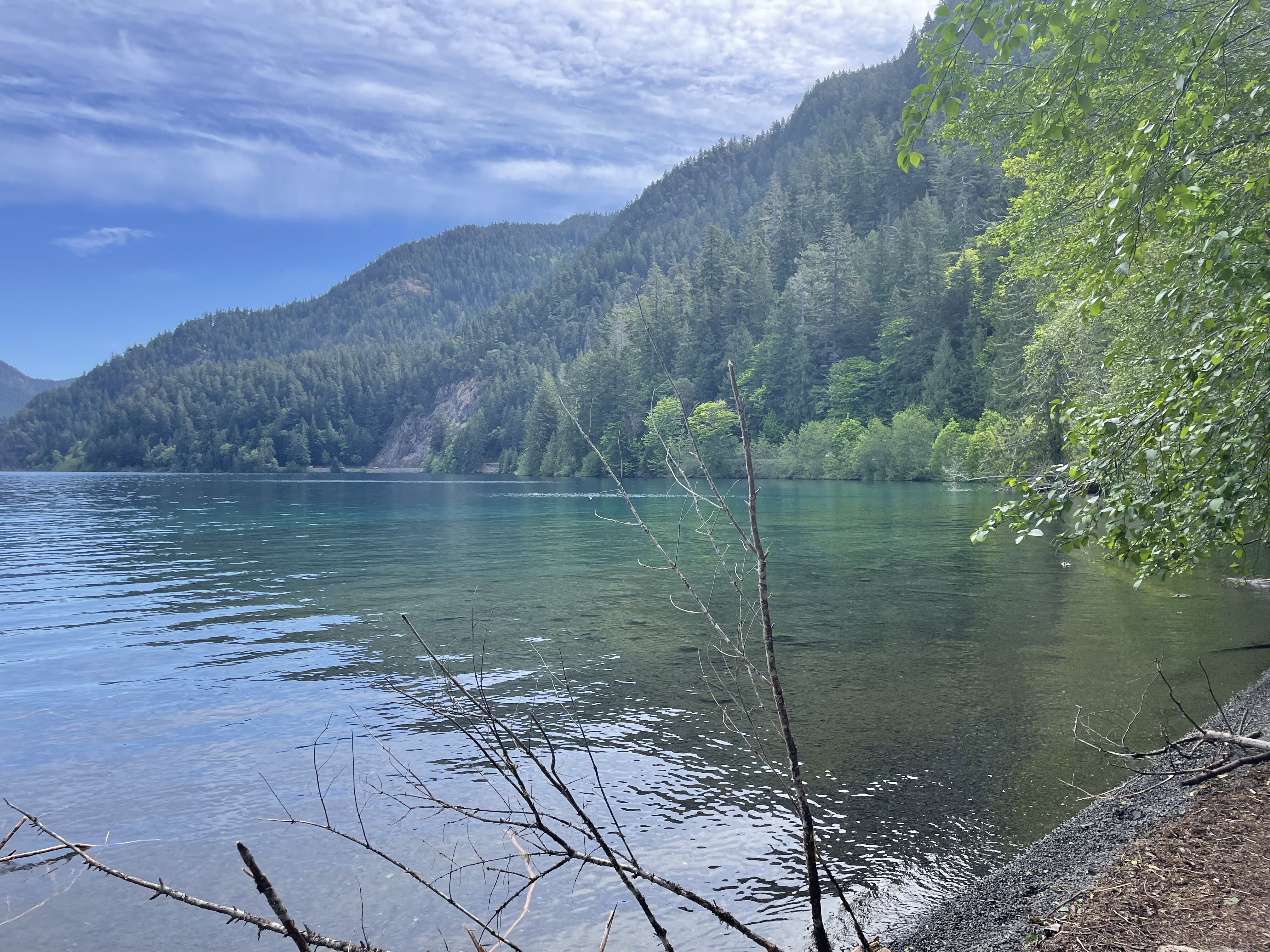 Lake Crescent in Olympic National Park