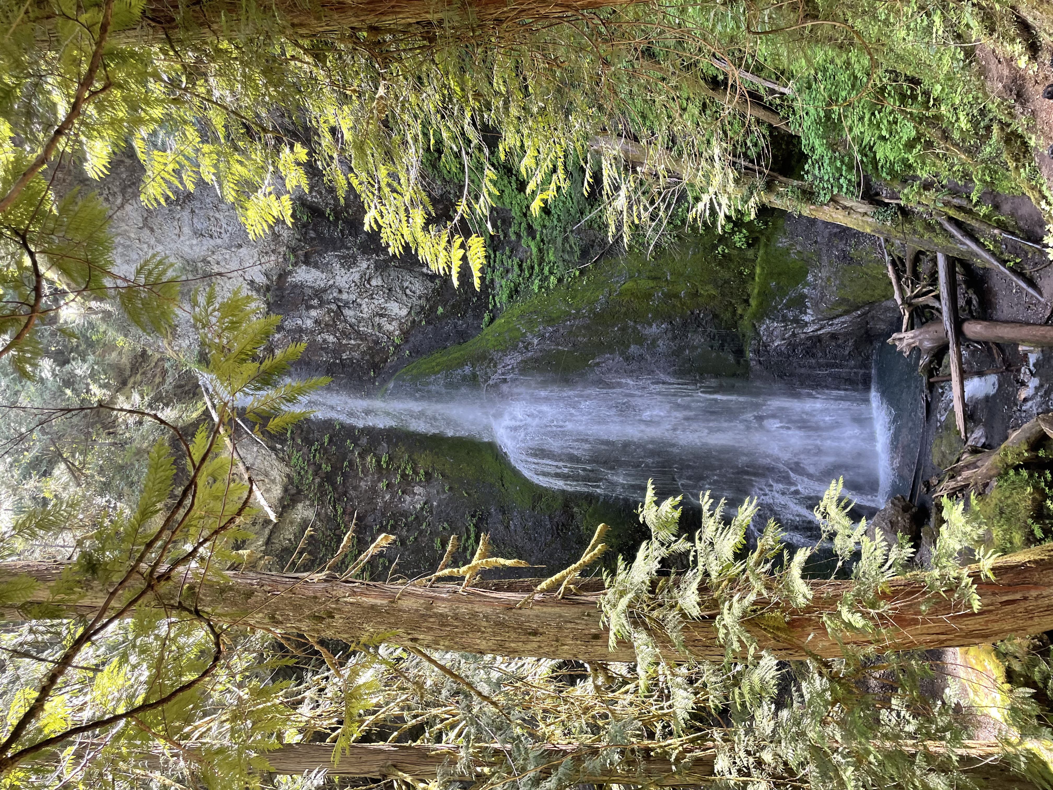 Marymere Falls in Olympic National Park