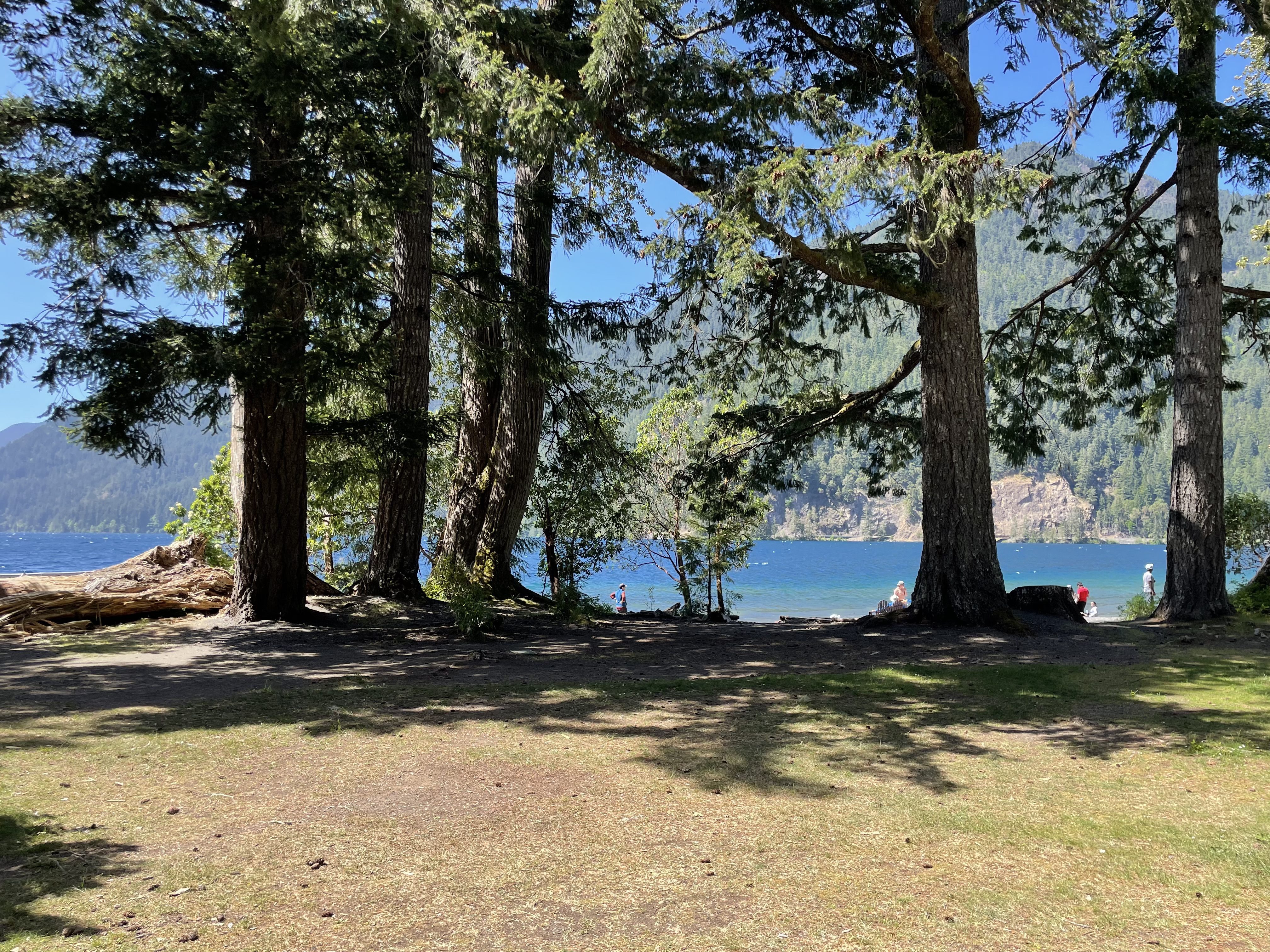 Lake Crescent in Olympic National Park