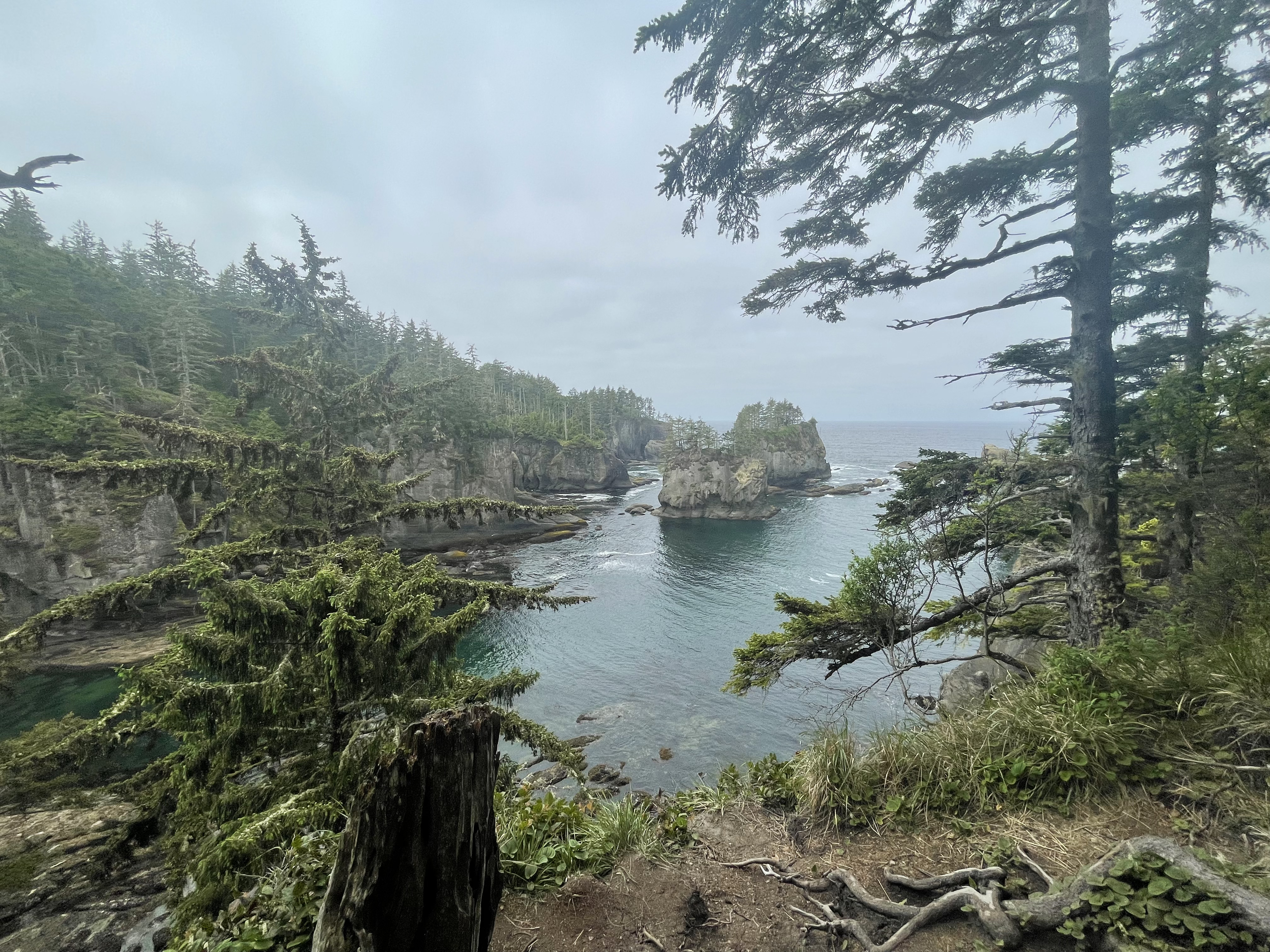 Cape Flattery in Olympic National Park