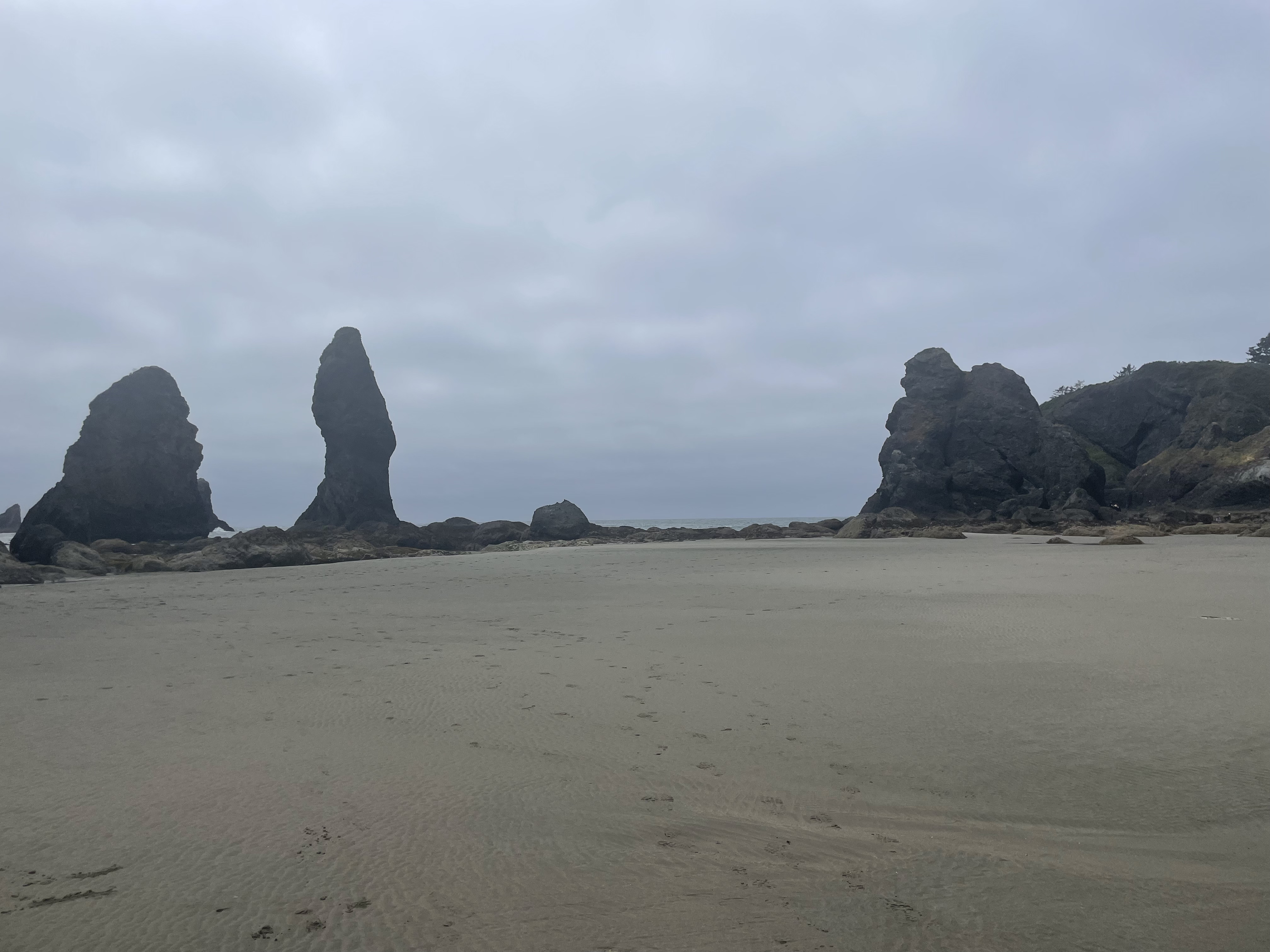 Shi Shi Beach in Olympic National Park