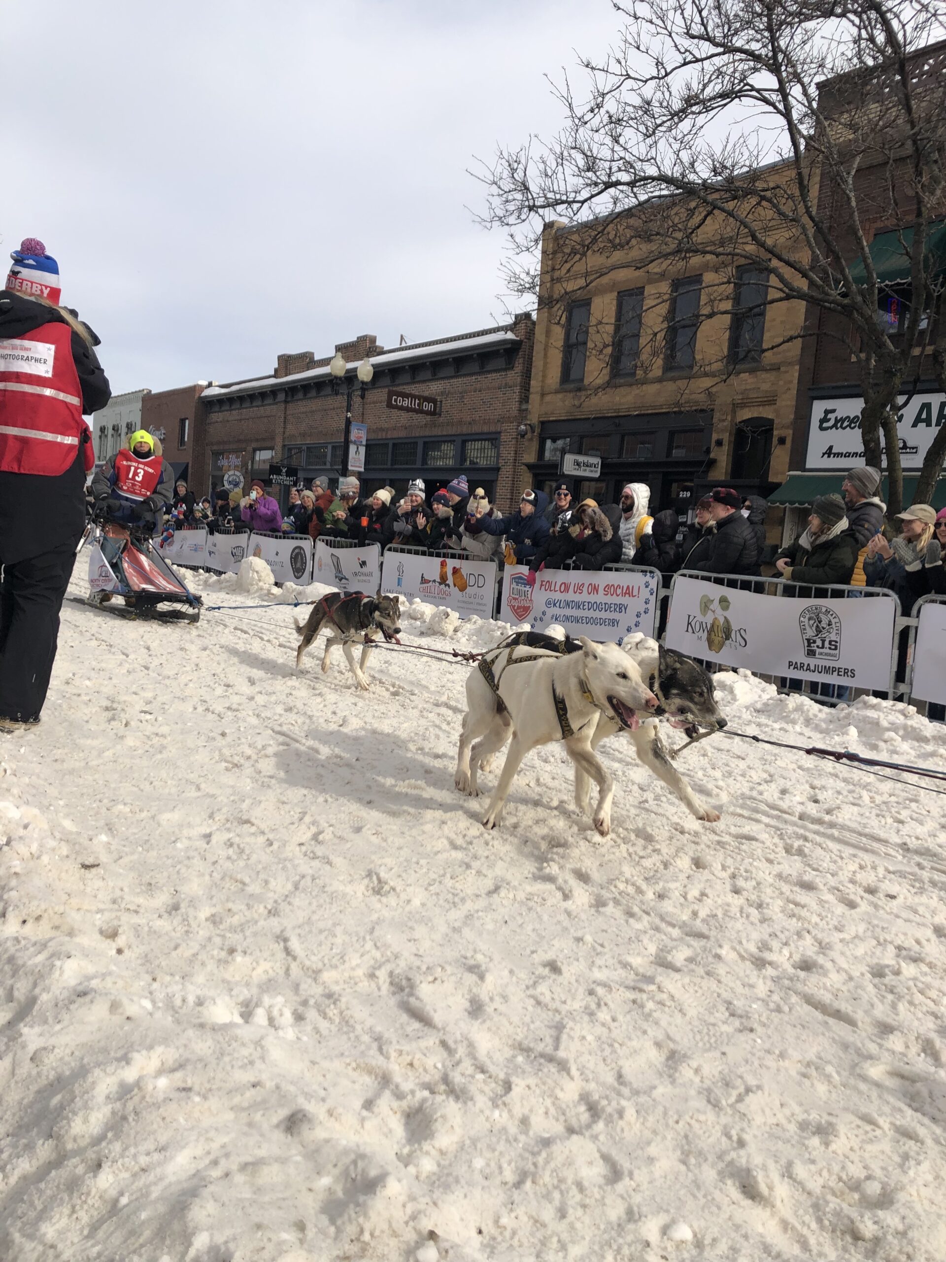 Minneapolis Winter Activities - Dog Sled Race