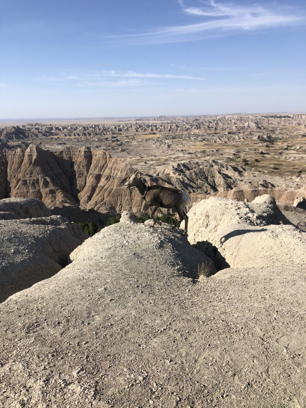 One Day In Badlands National Park