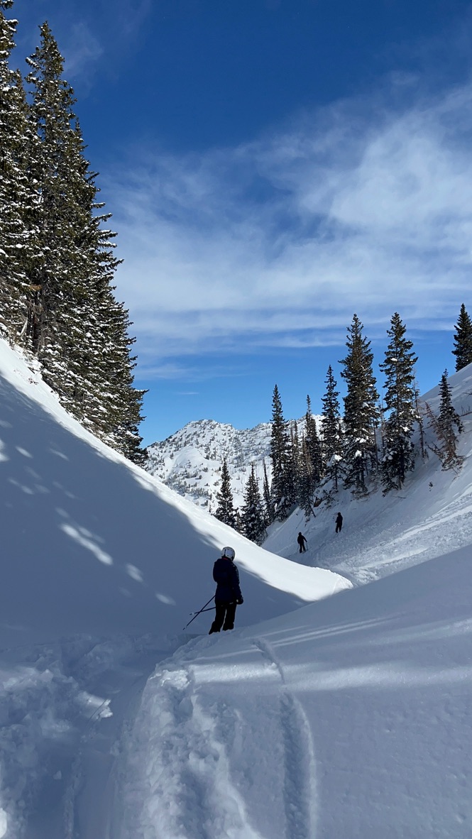 ski slope and mountains in Alta, Utah