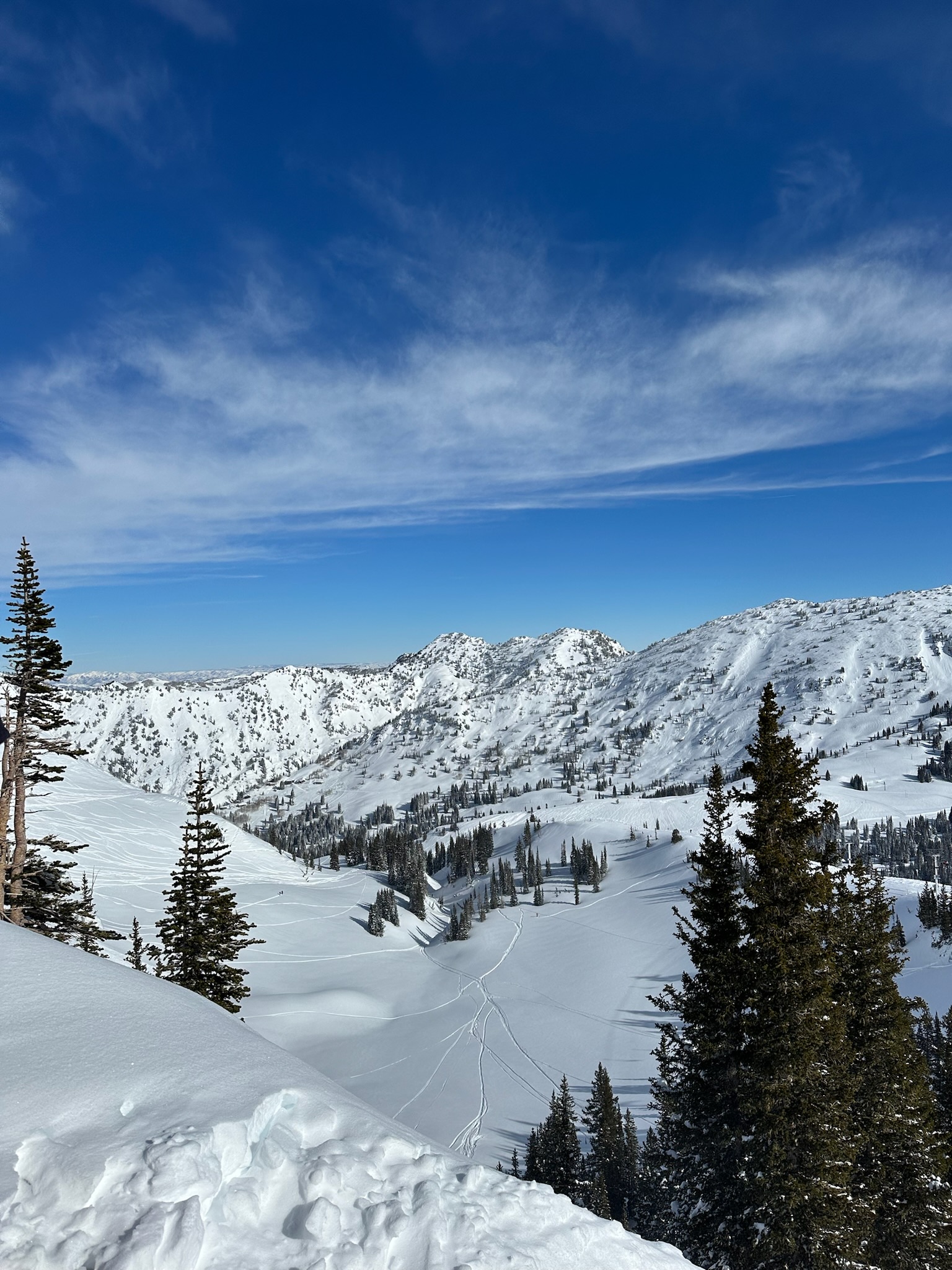 ski slopes and mountain in Alta, Utah