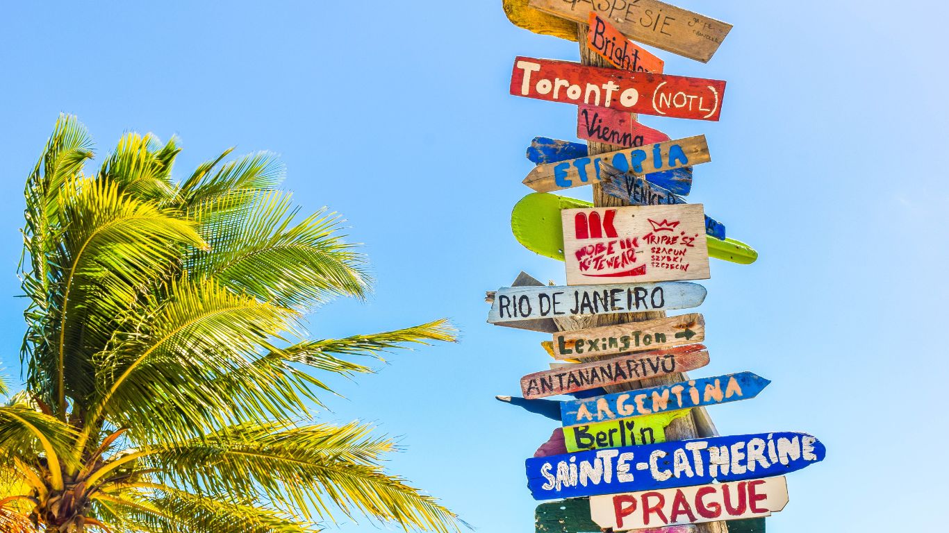 sign with multiple wood pieces of destinations next to a palm tree