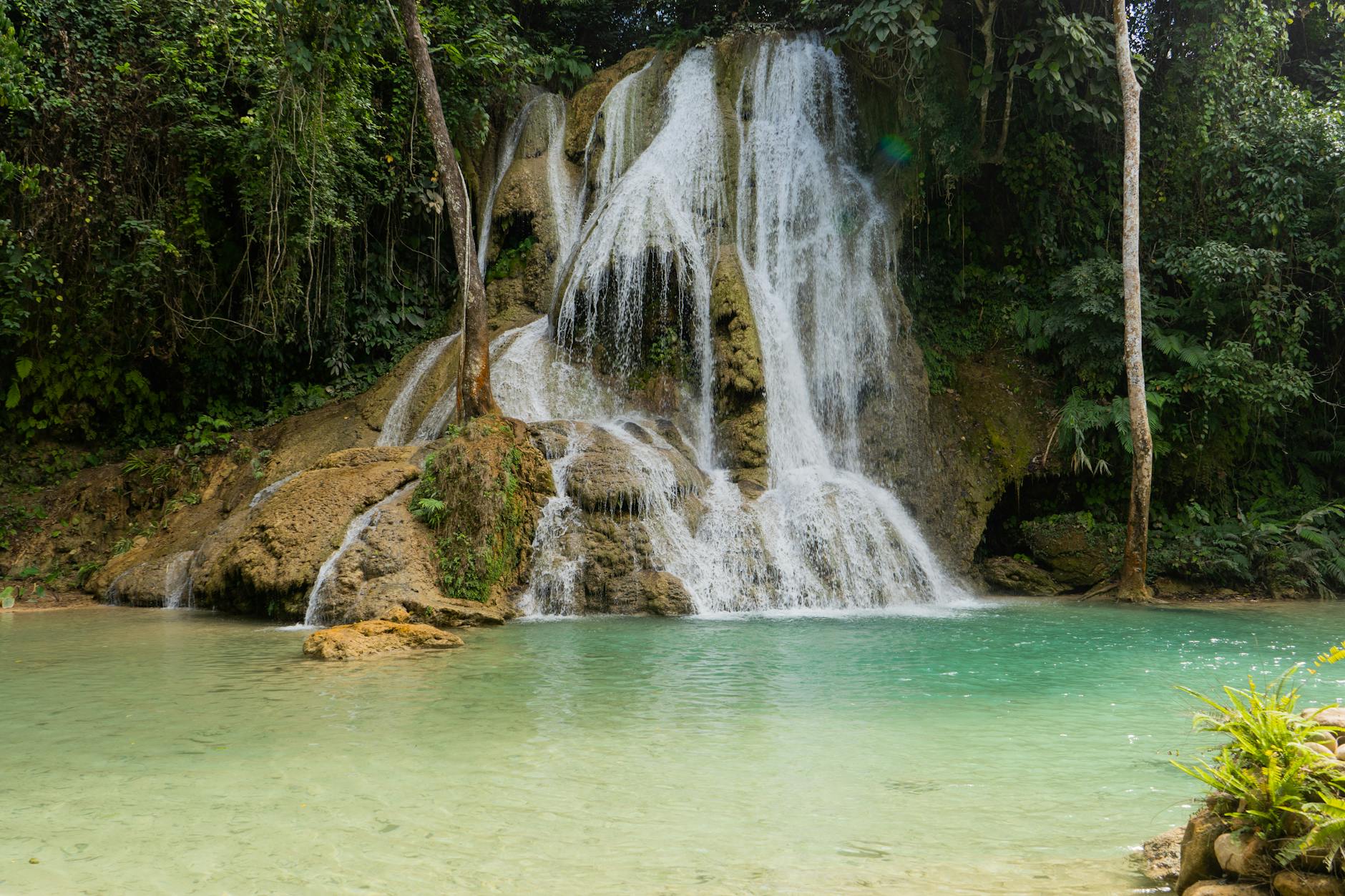 waterfall in forest