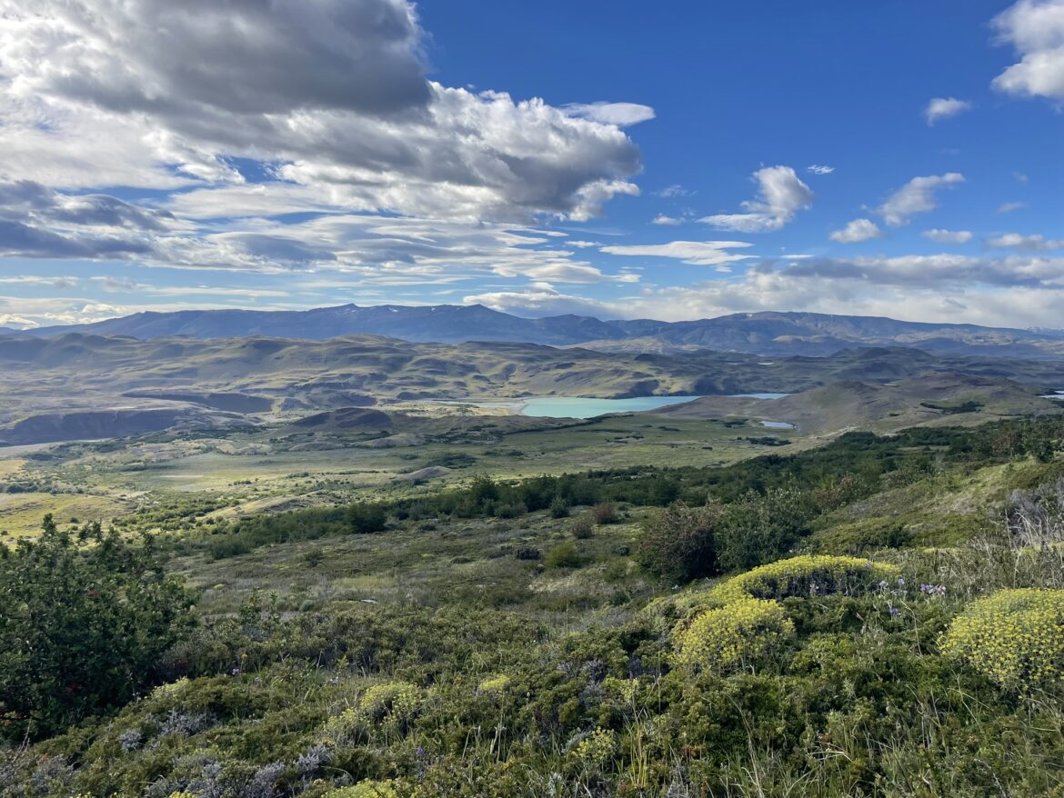 How Much Does a Trip to Patagonia Cost? (Real Cost Breakdown)